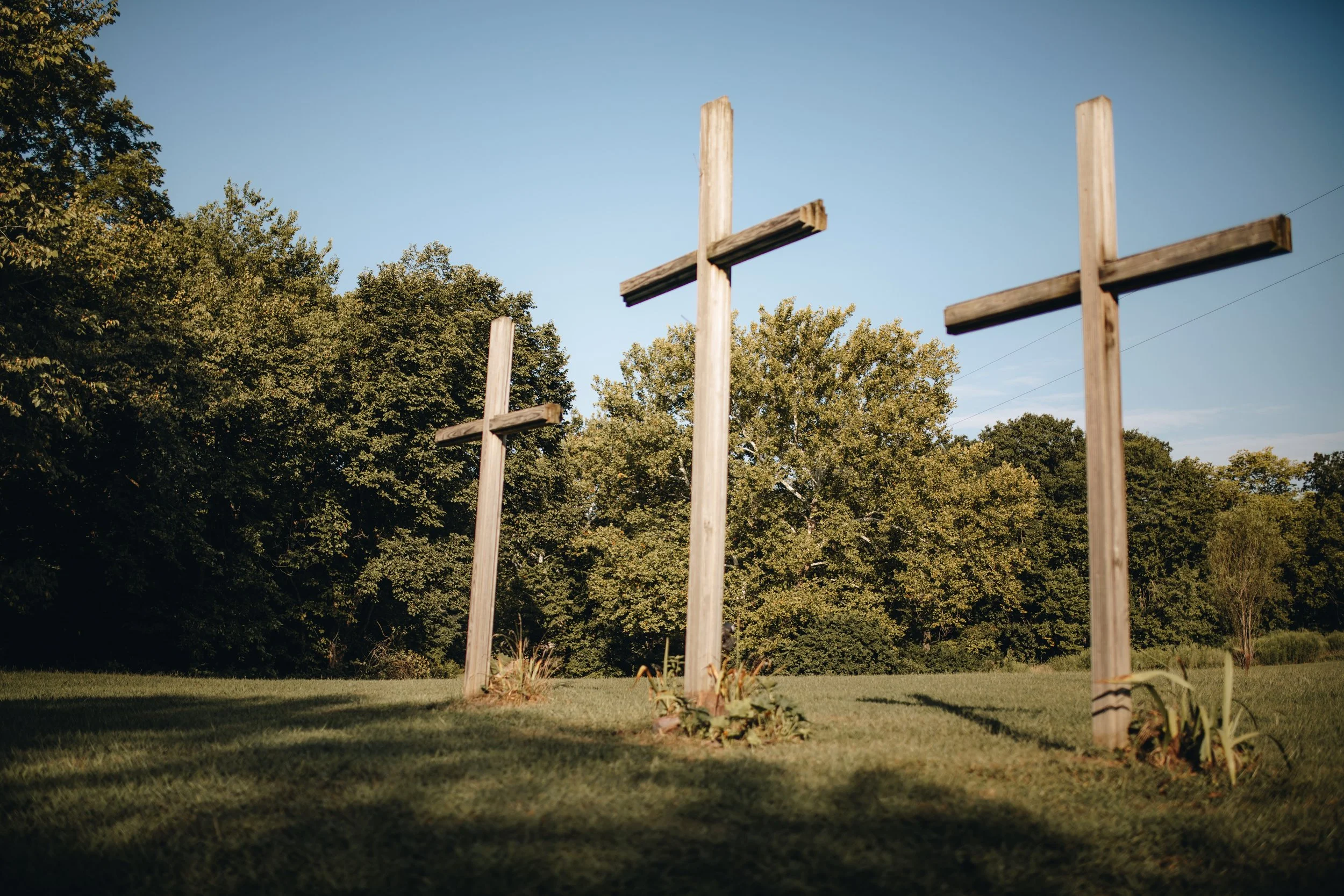 Site Image